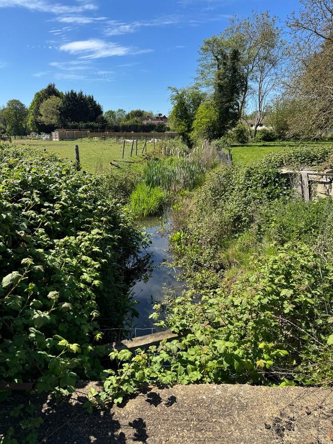 Watercourse and open field at a site investigation location