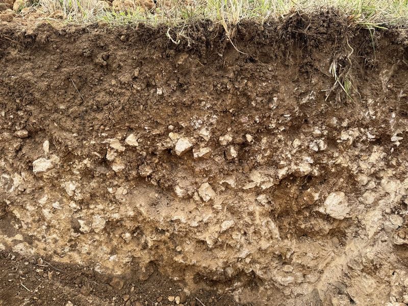 Soil profile exposed in a trial pit, showing the strata beneath the topsoil